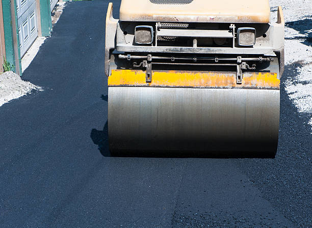 Best Driveway Crack Filling  in The Pinery, CO